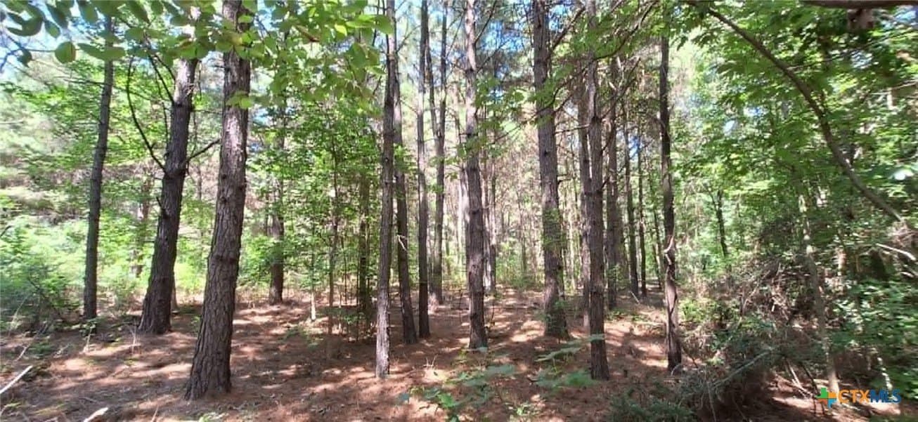28.56 acres in Upshur County - photo 19