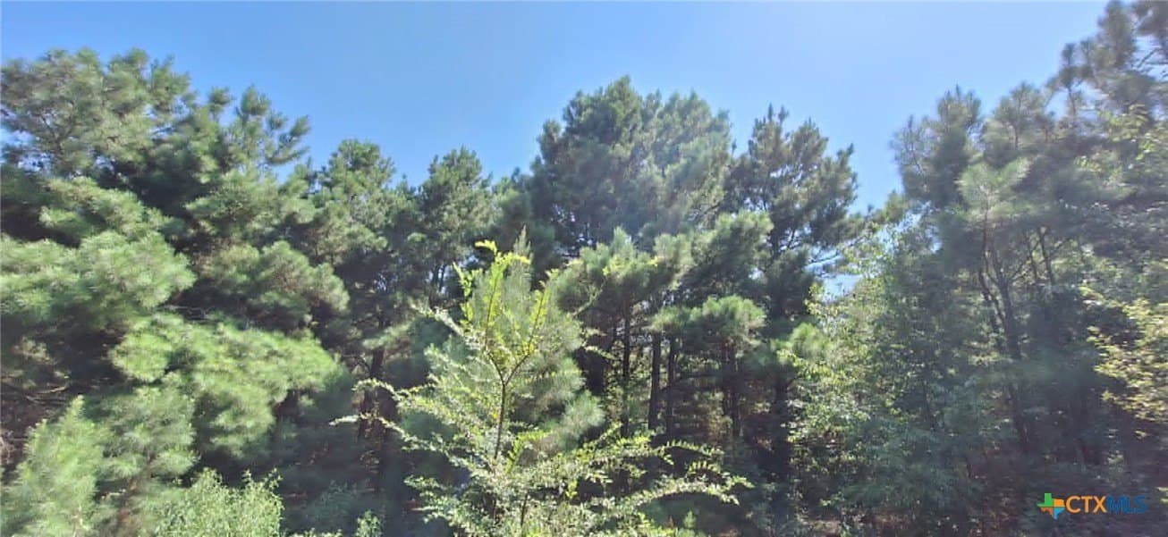 28.56 acres in Upshur County - photo 17
