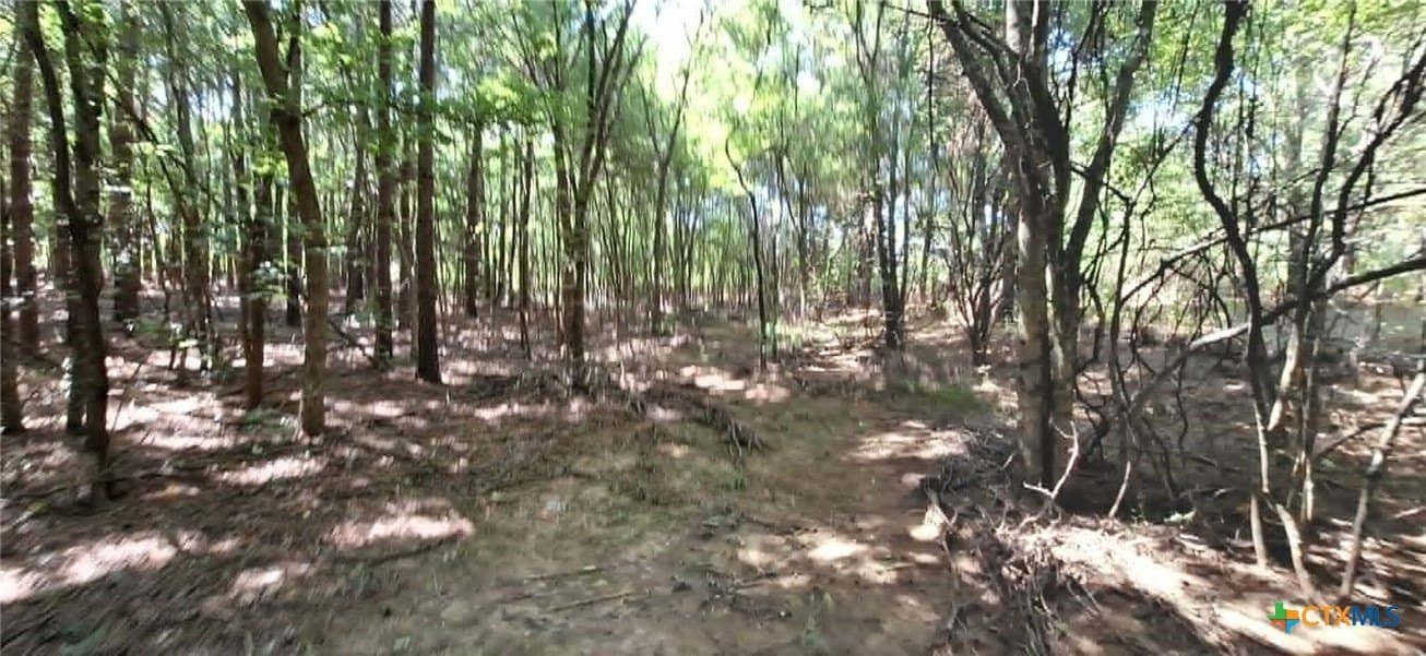 28.56 acres in Upshur County - photo 24