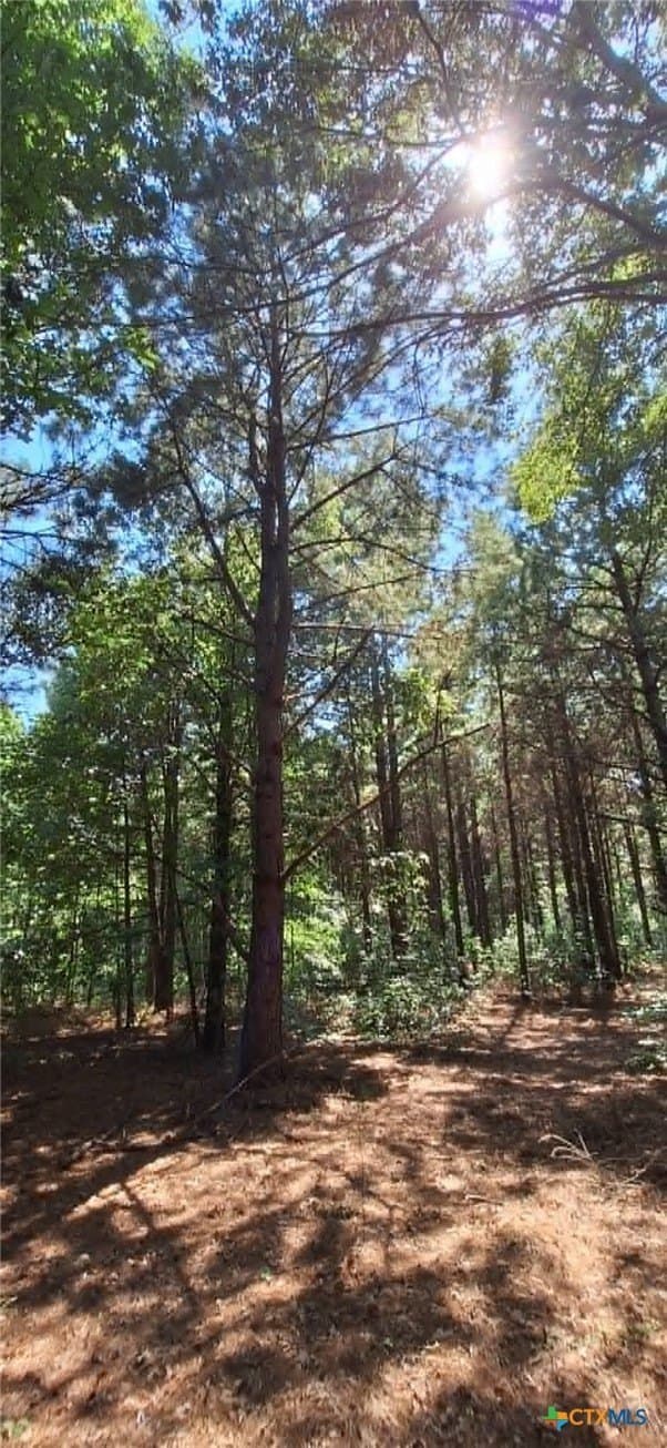 28.56 acres in Upshur County - photo 25
