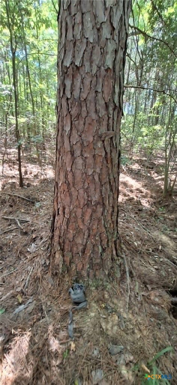 28.56 acres in Upshur County - photo 20