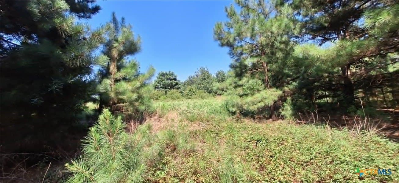 28.56 acres in Upshur County - photo 28