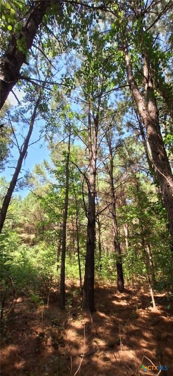 28.56 acres in Upshur County - photo 22