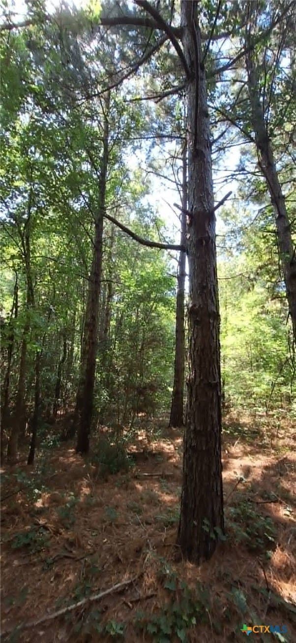 28.56 acres in Upshur County - photo 12