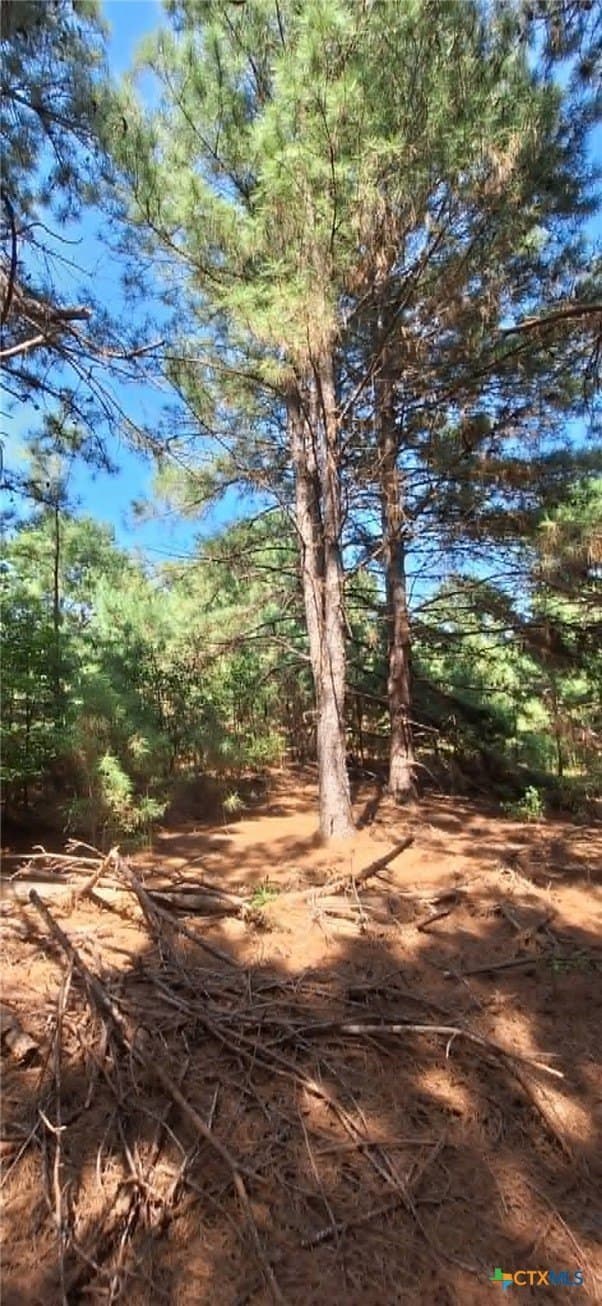 28.56 acres in Upshur County - photo 10
