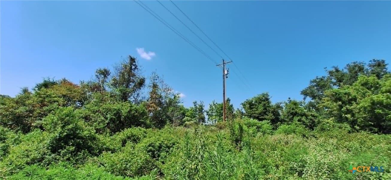 28.56 acres in Upshur County - photo 27