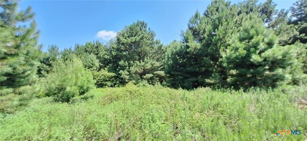 28.56 acres in Upshur County - photo 7