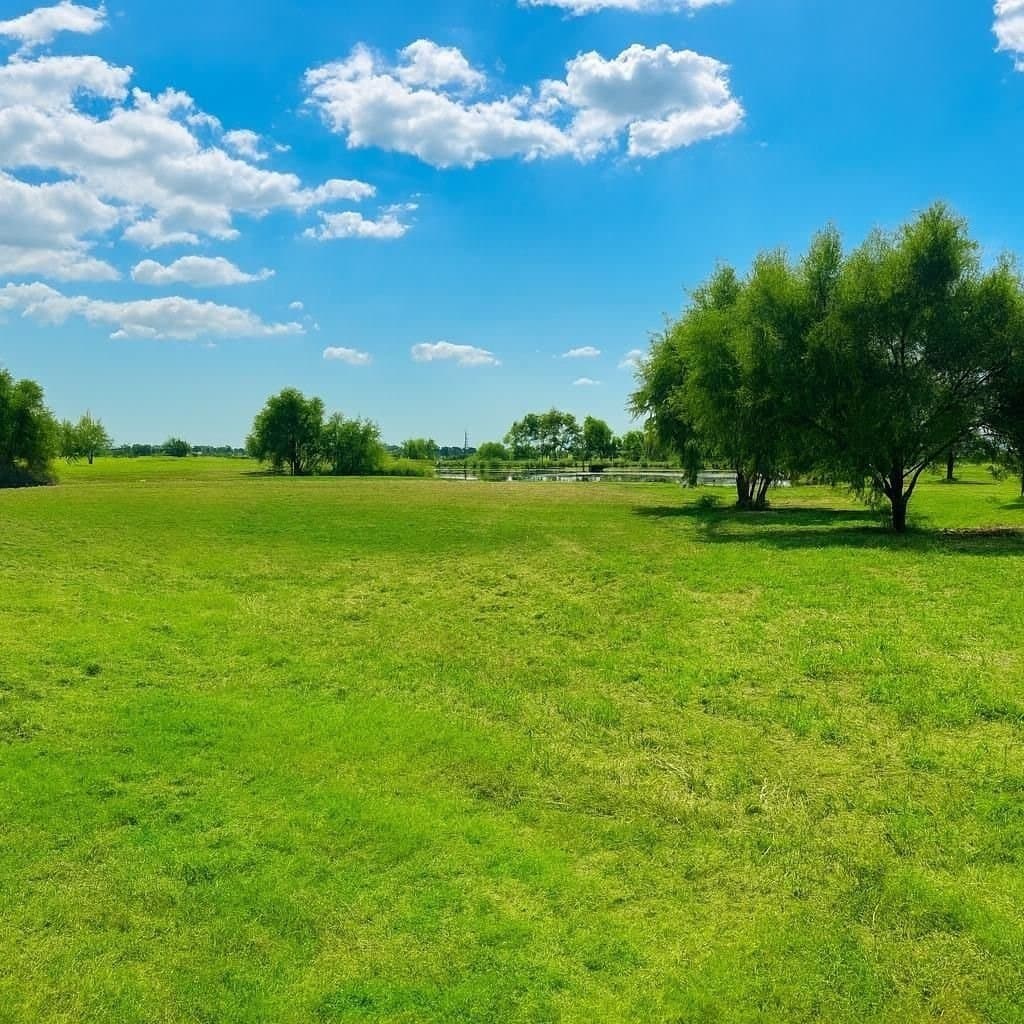 31 acres in Hill County