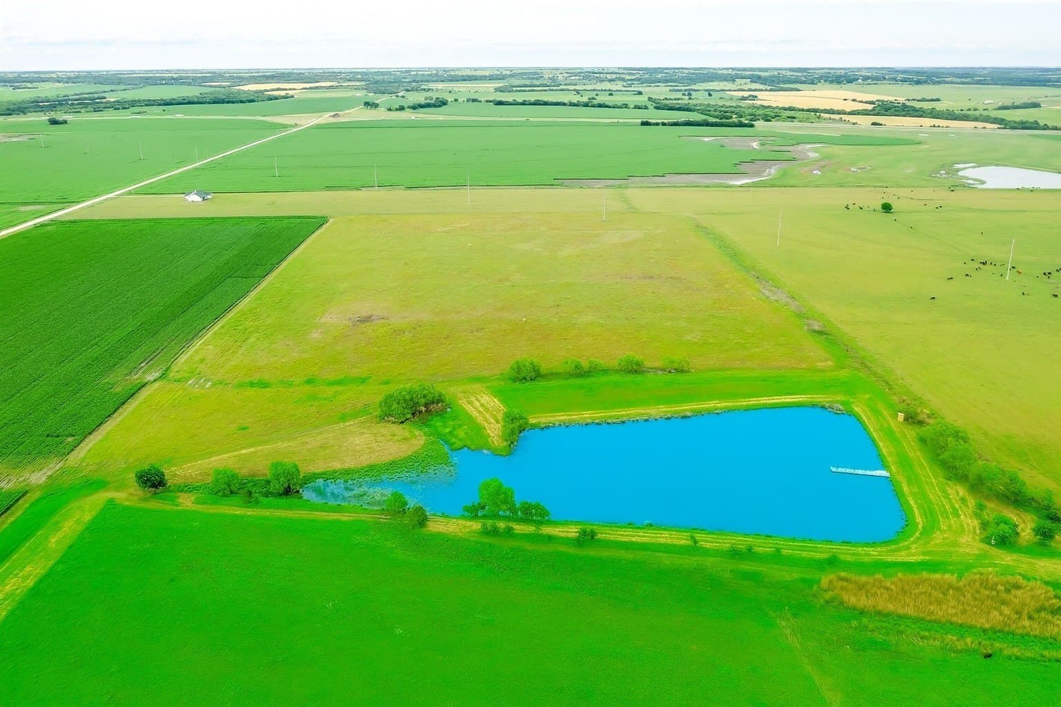 31 acres in Hill County gallery image 3