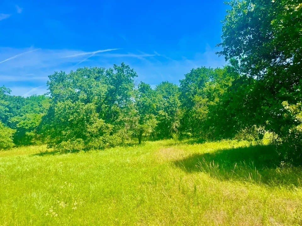 2 acres in Parker County - photo 3