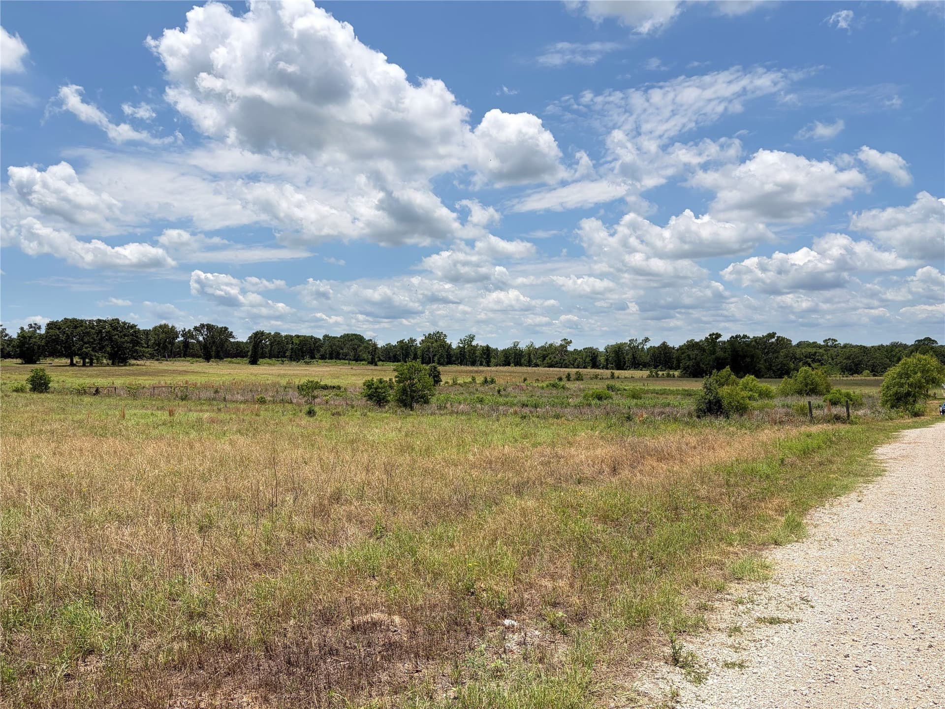 0.84 acres in Henderson County - photo 13