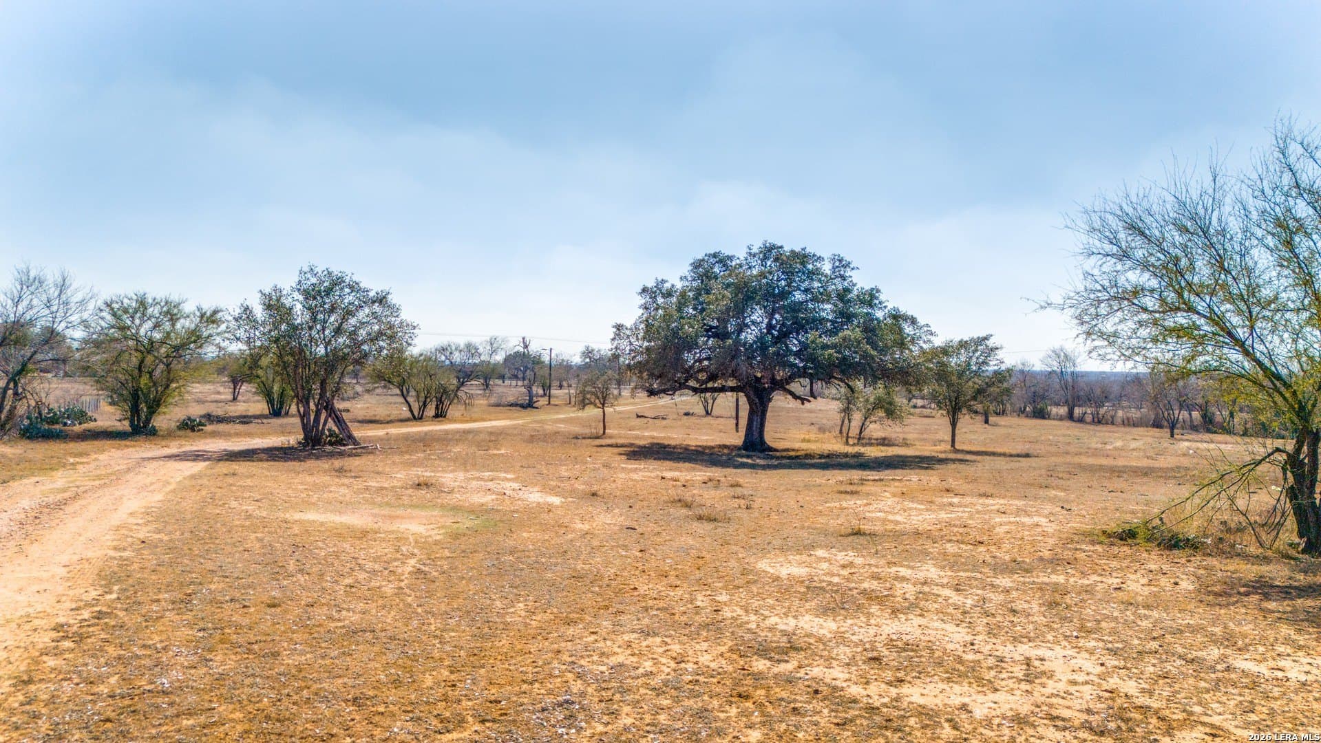 9.98 acres in Bexar County gallery image 3