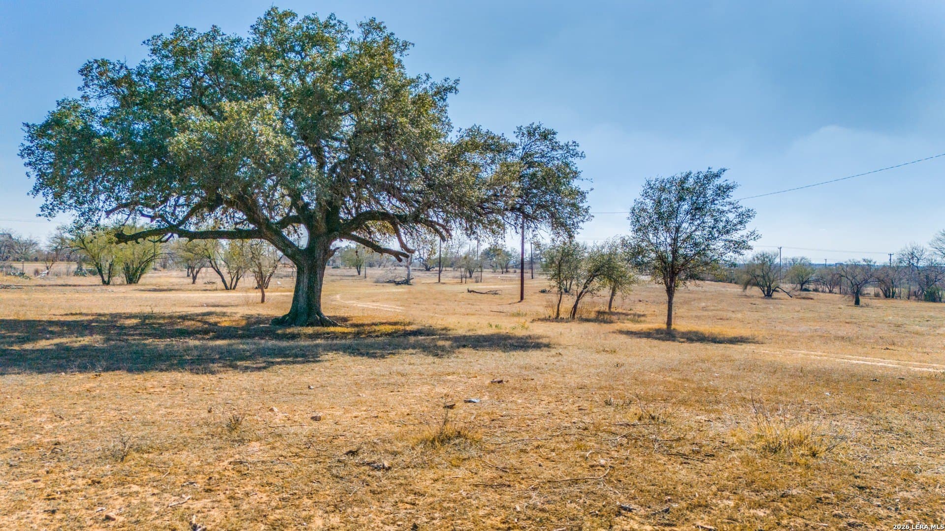 9.98 acres in Bexar County - photo 6
