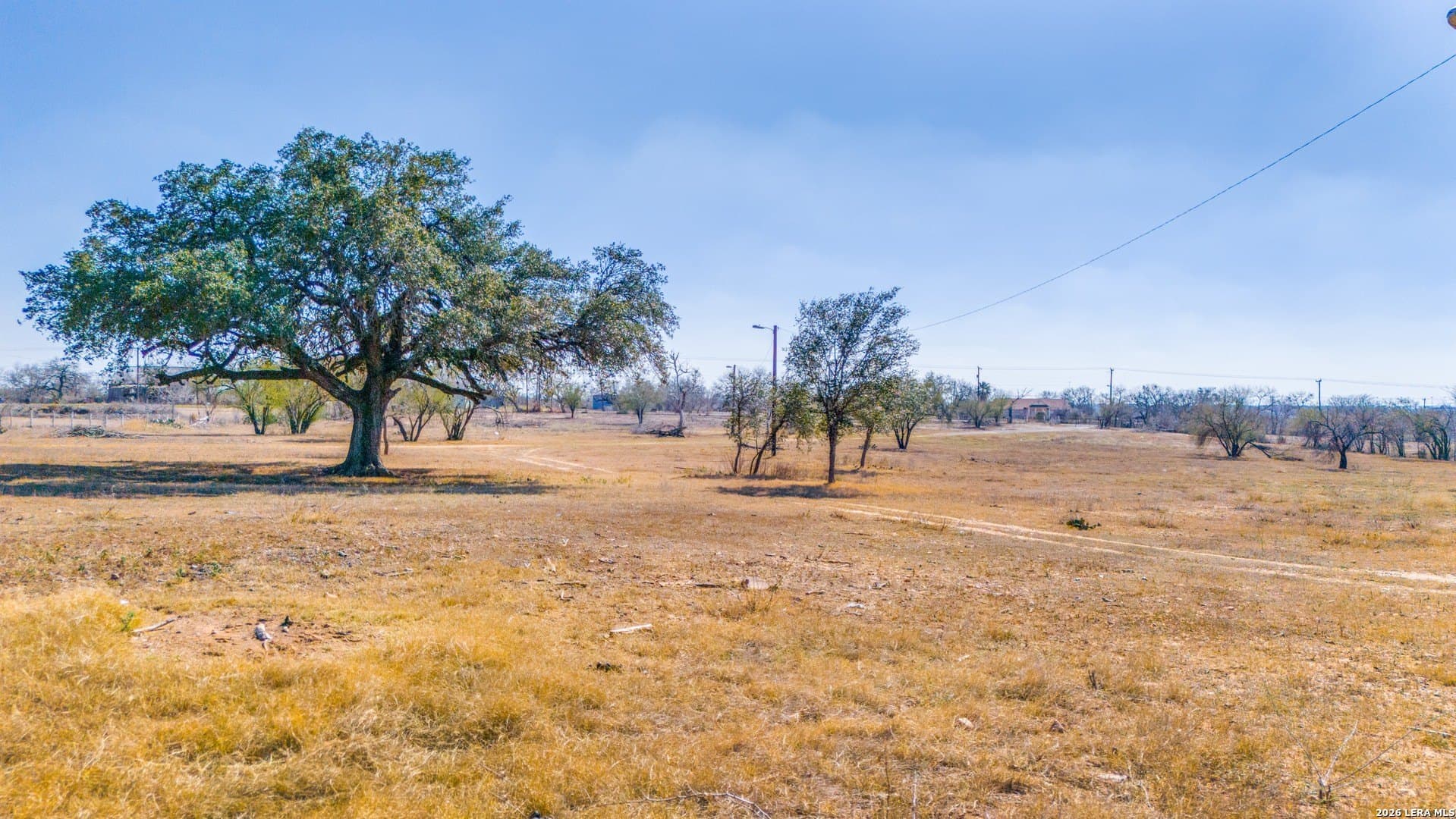 9.98 acres in Bexar County gallery image 4