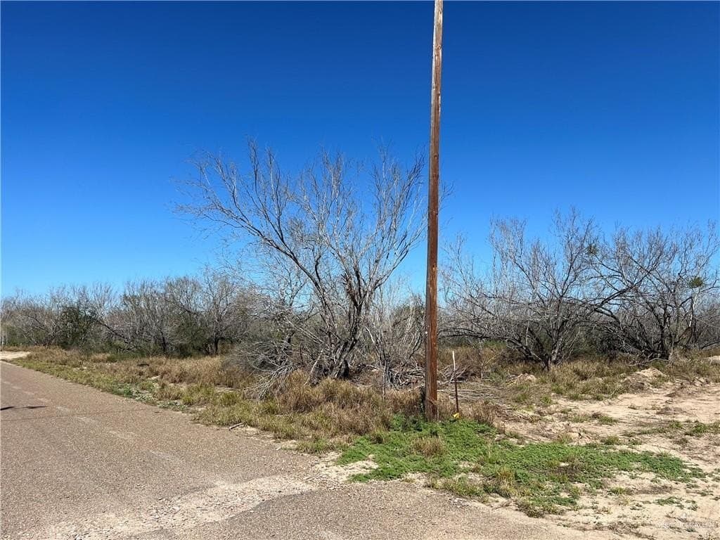 2 acres in Starr County gallery image 2