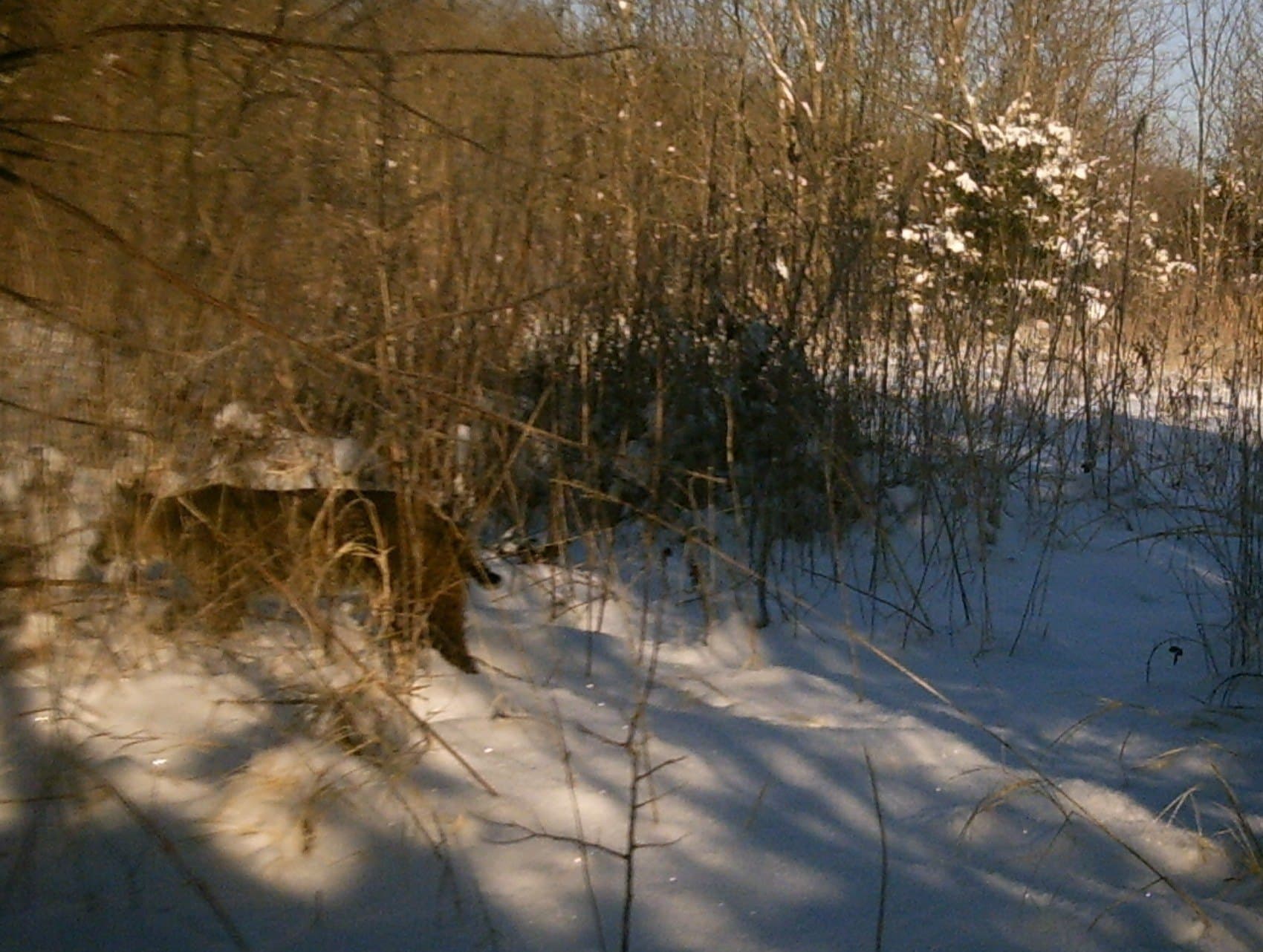 13.36 acres in Hunt County - photo 13