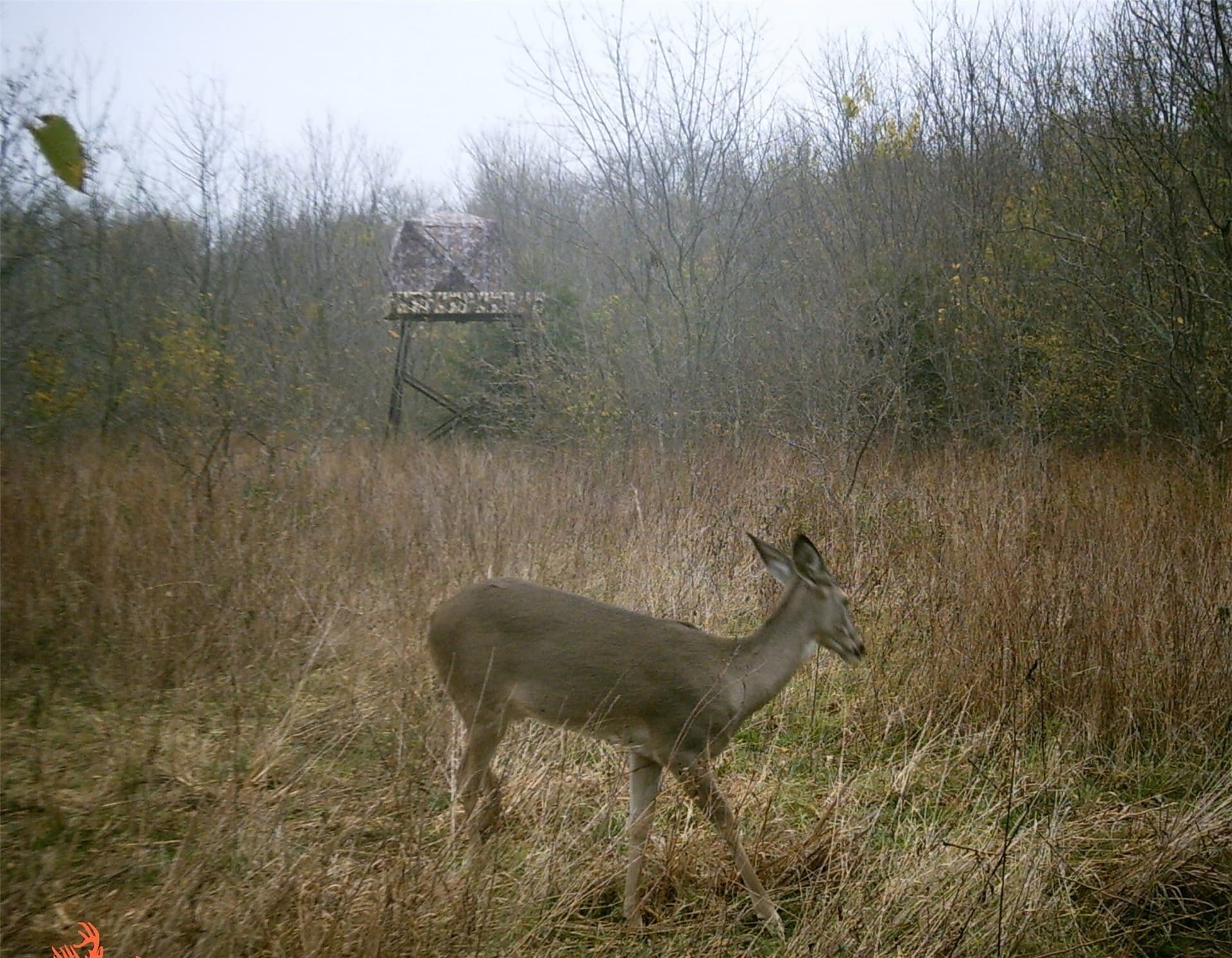 13.36 acres in Hunt County - photo 17