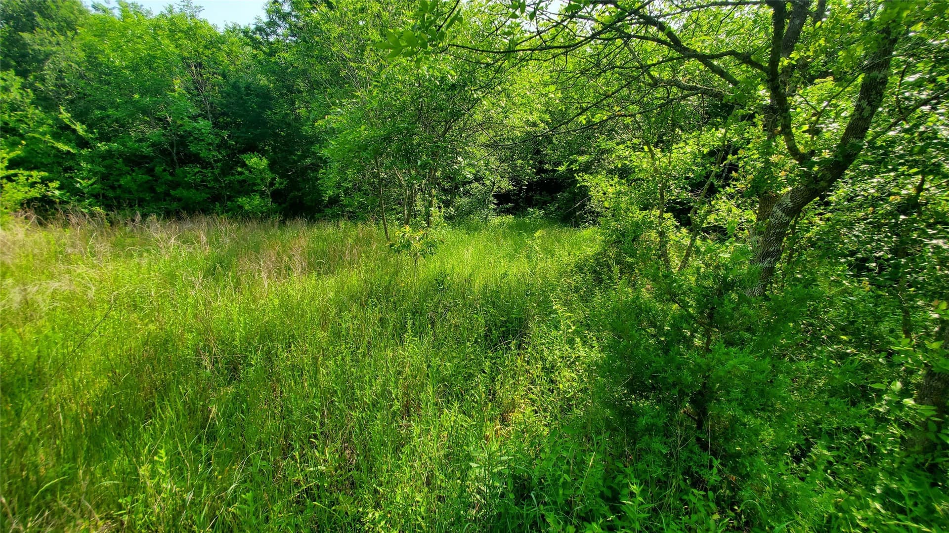 13.36 acres in Hunt County - photo 4