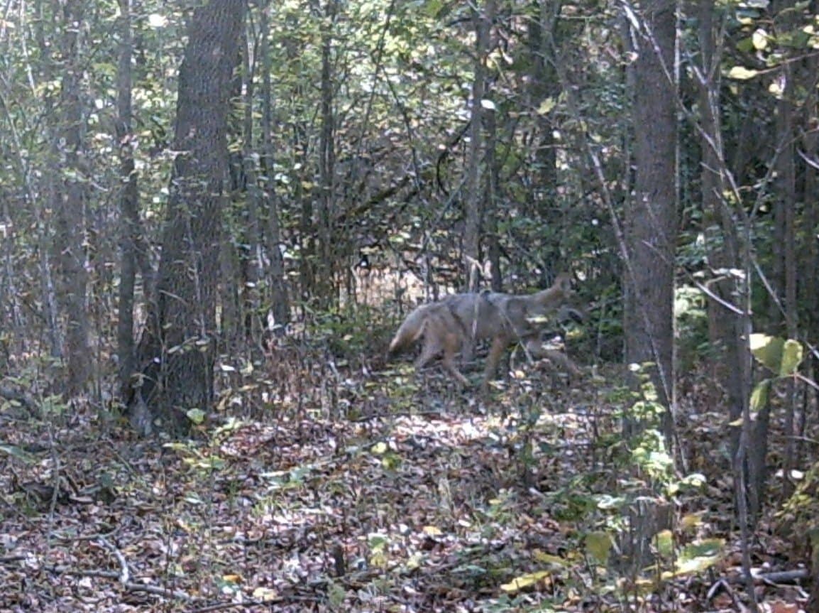 13.36 acres in Hunt County - photo 16