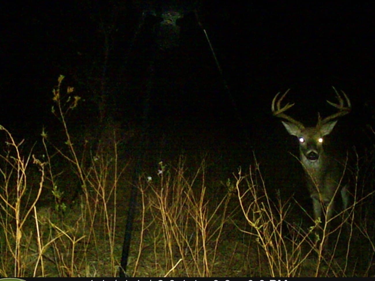 13.36 acres in Hunt County - photo 15