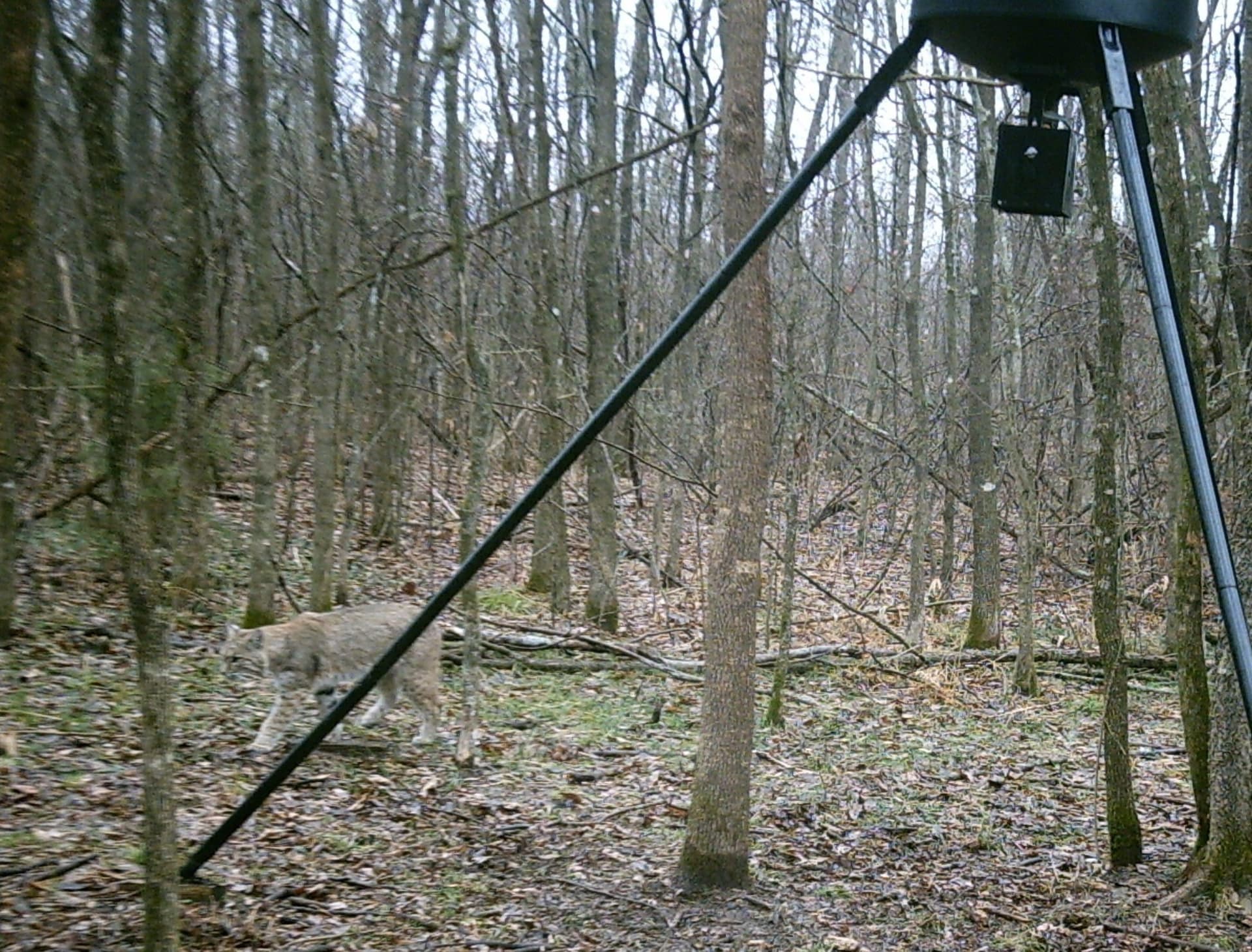 13.36 acres in Hunt County - photo 14