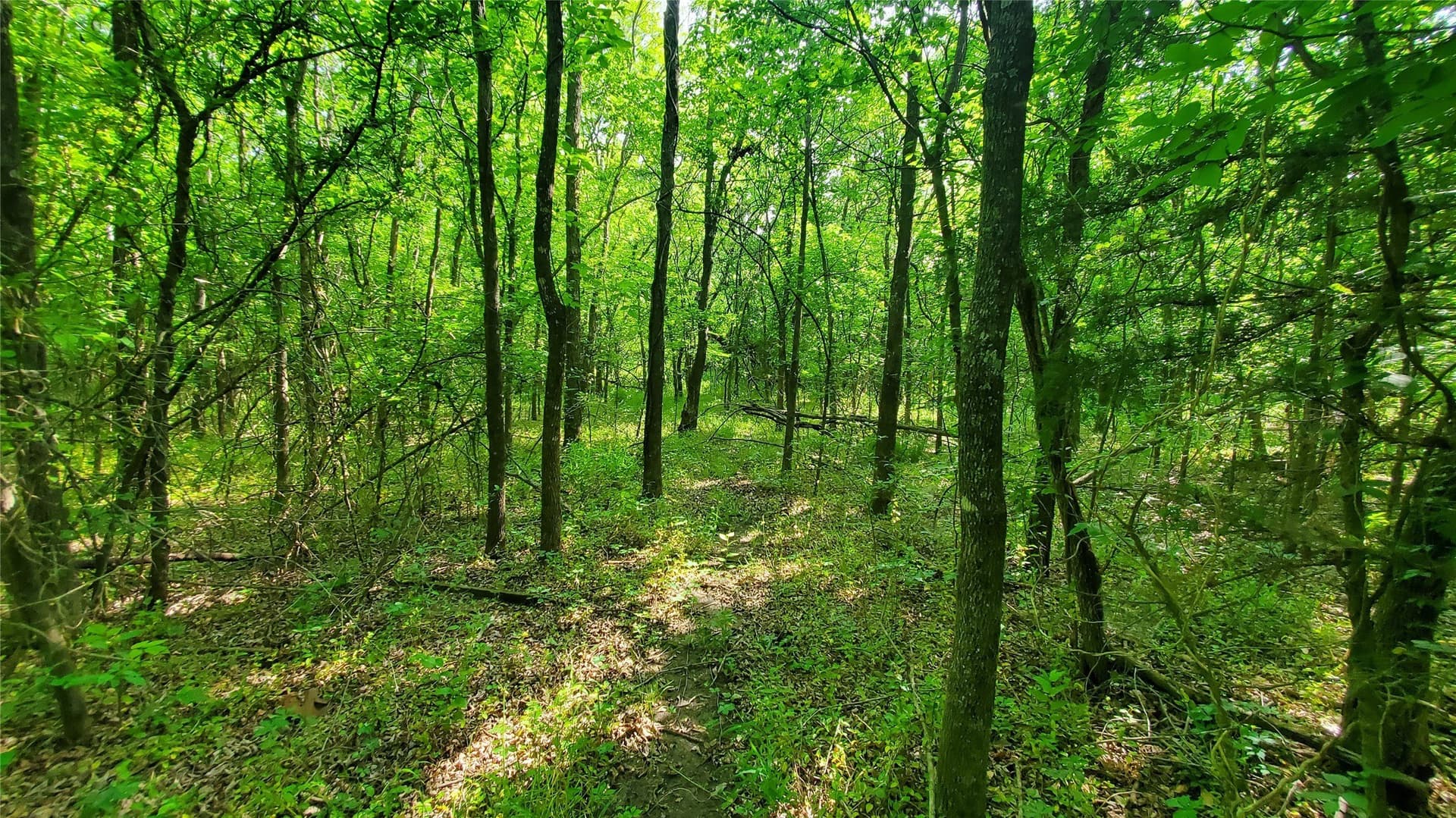13.36 acres in Hunt County - photo 5