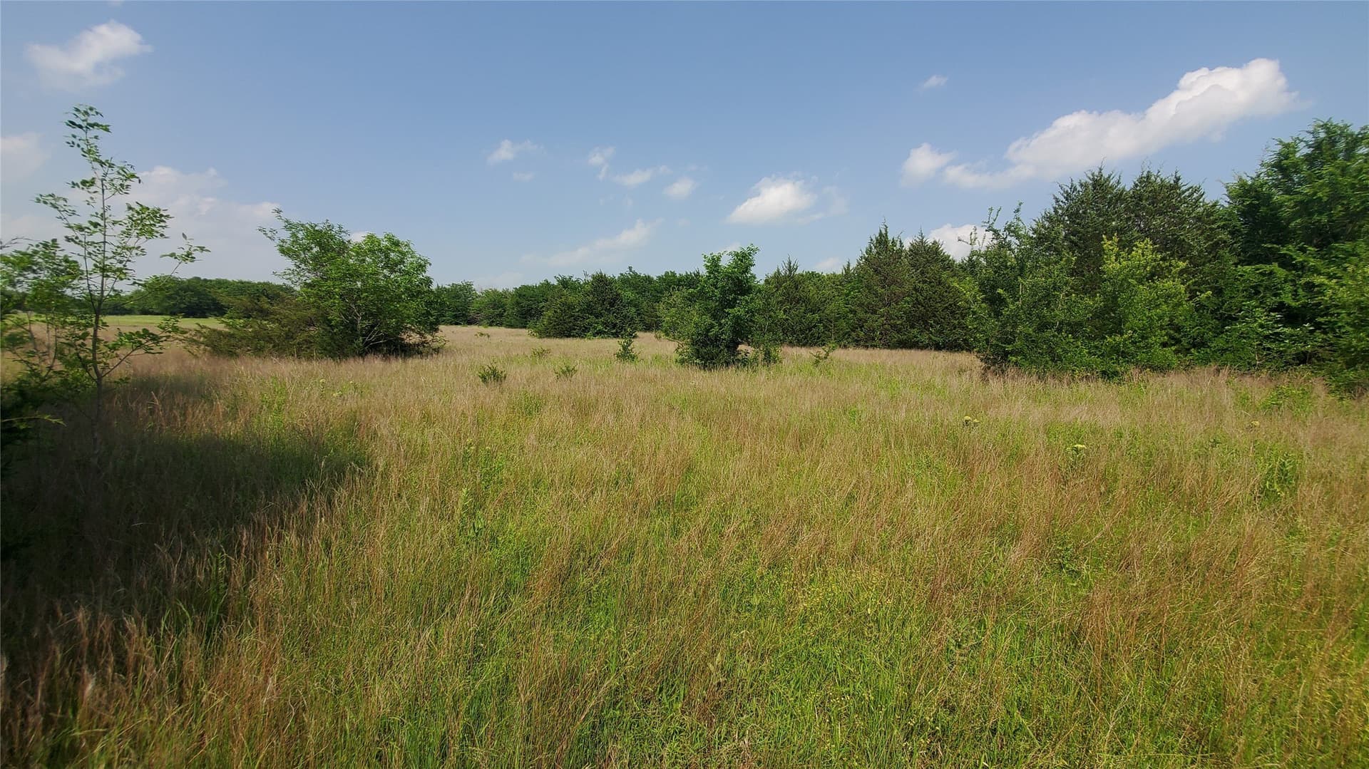 13.36 acres in Hunt County - photo 3