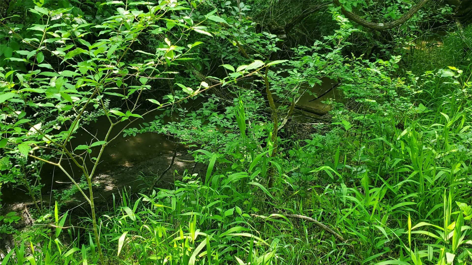 13.36 acres in Hunt County - photo 8
