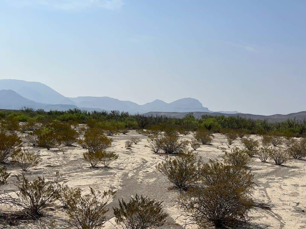 5 acres in Brewster County gallery image 4