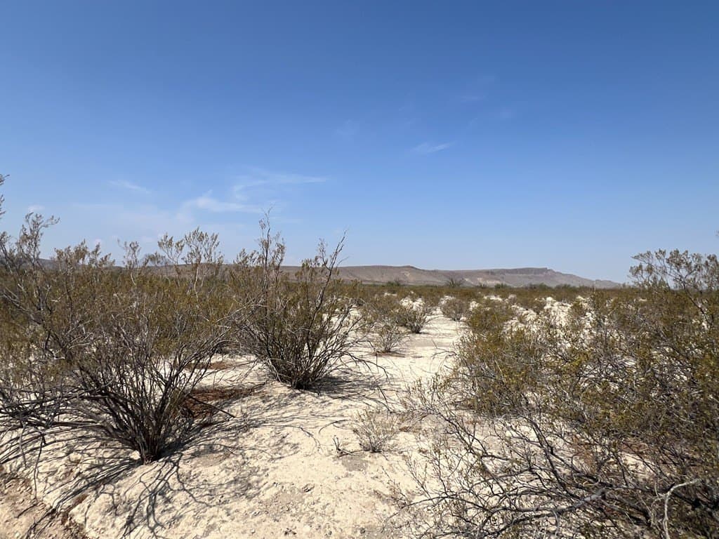 5 acres in Brewster County - photo 18