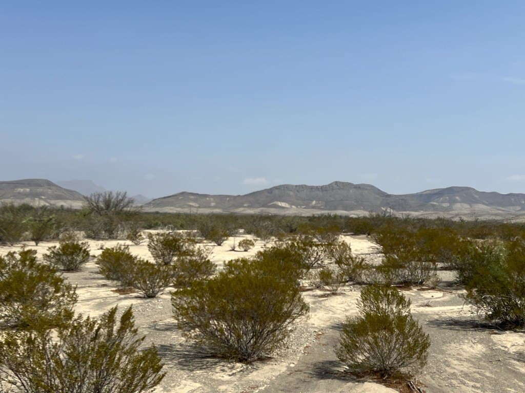 5 acres in Brewster County featured view