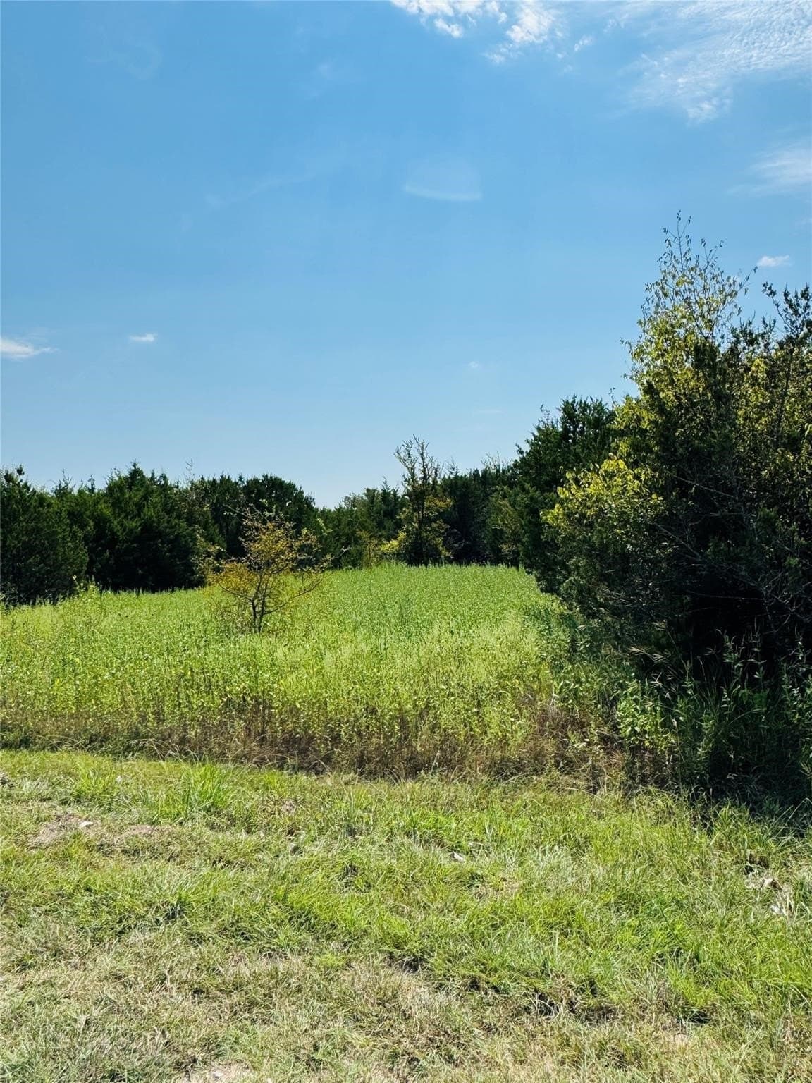 1.27 acres in Hill County gallery image 3