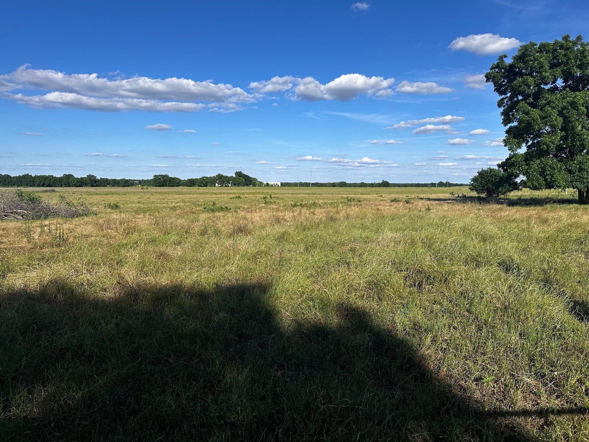 23.06 acres in Fannin County - photo 6
