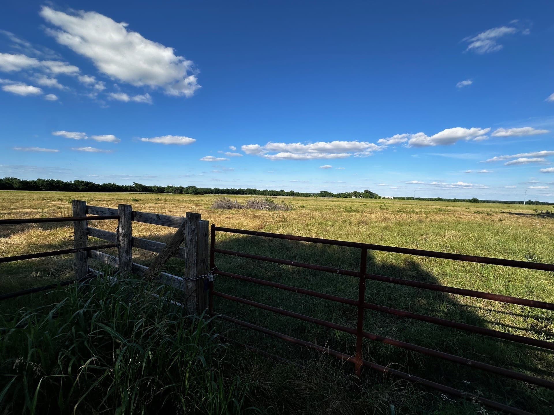 23.06 acres in Fannin County gallery image 4