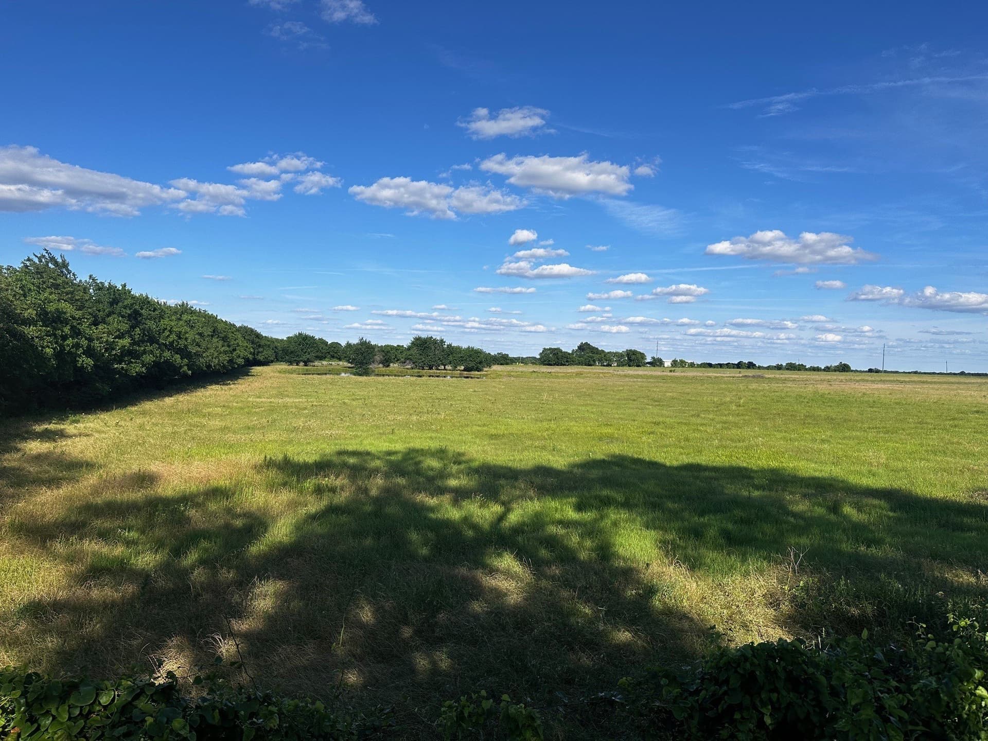 23.06 acres in Fannin County - photo 8