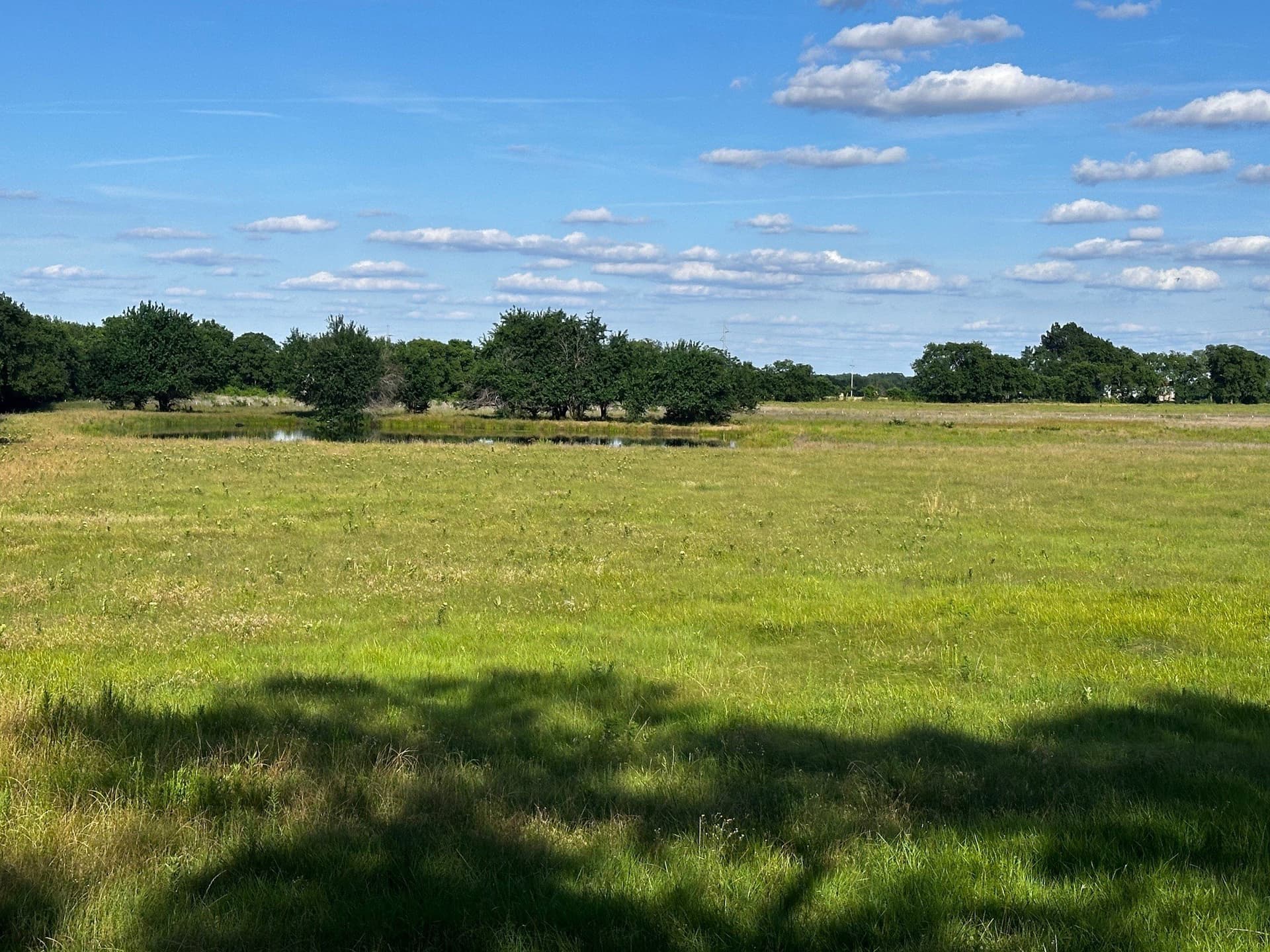 23.06 acres in Fannin County gallery image 2