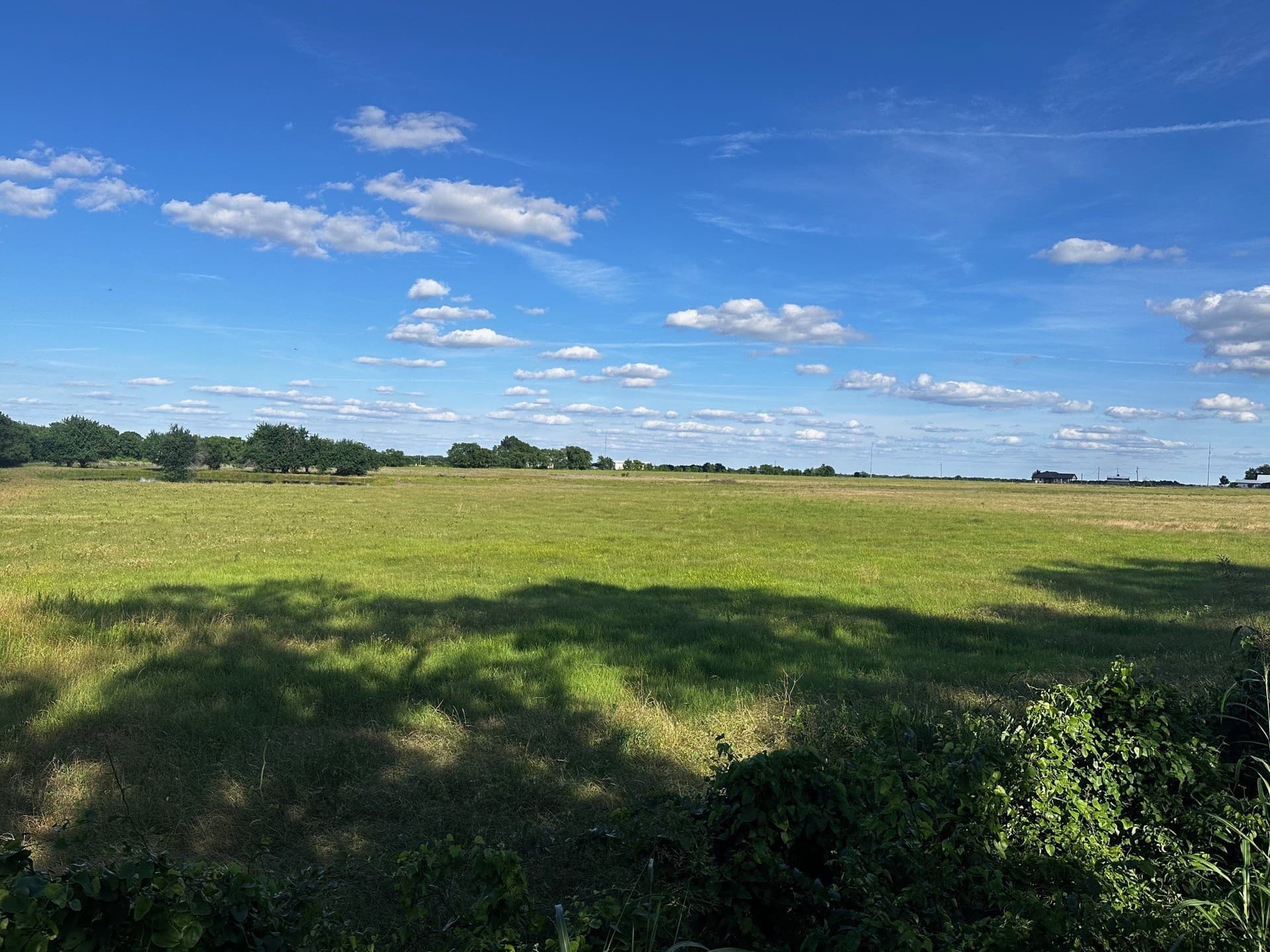 23.06 acres in Fannin County - photo 7