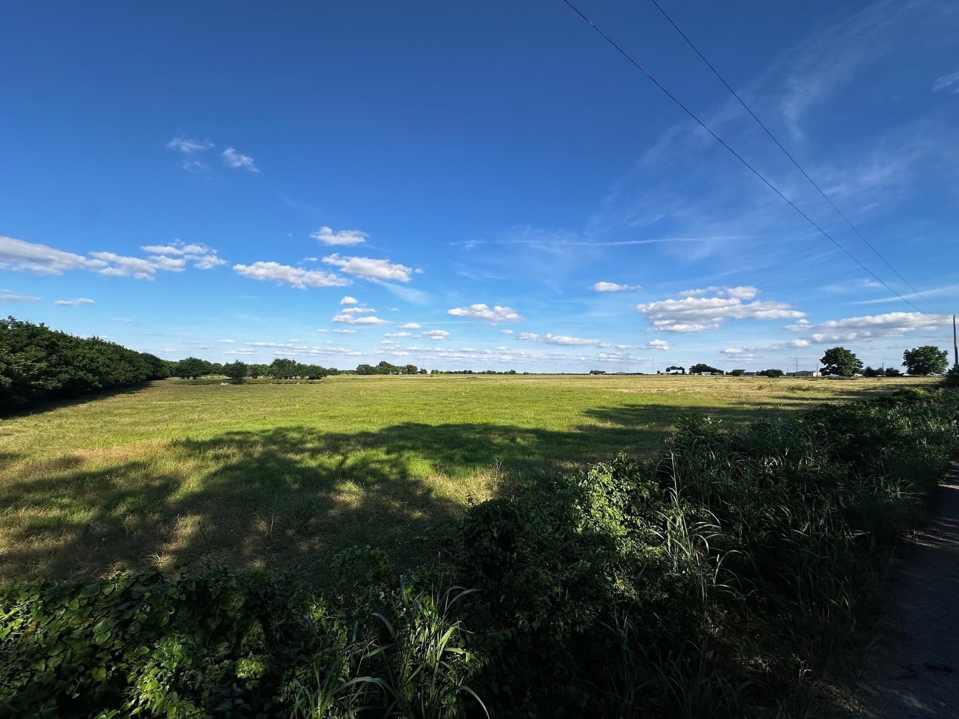 23.06 acres in Fannin County gallery image 3