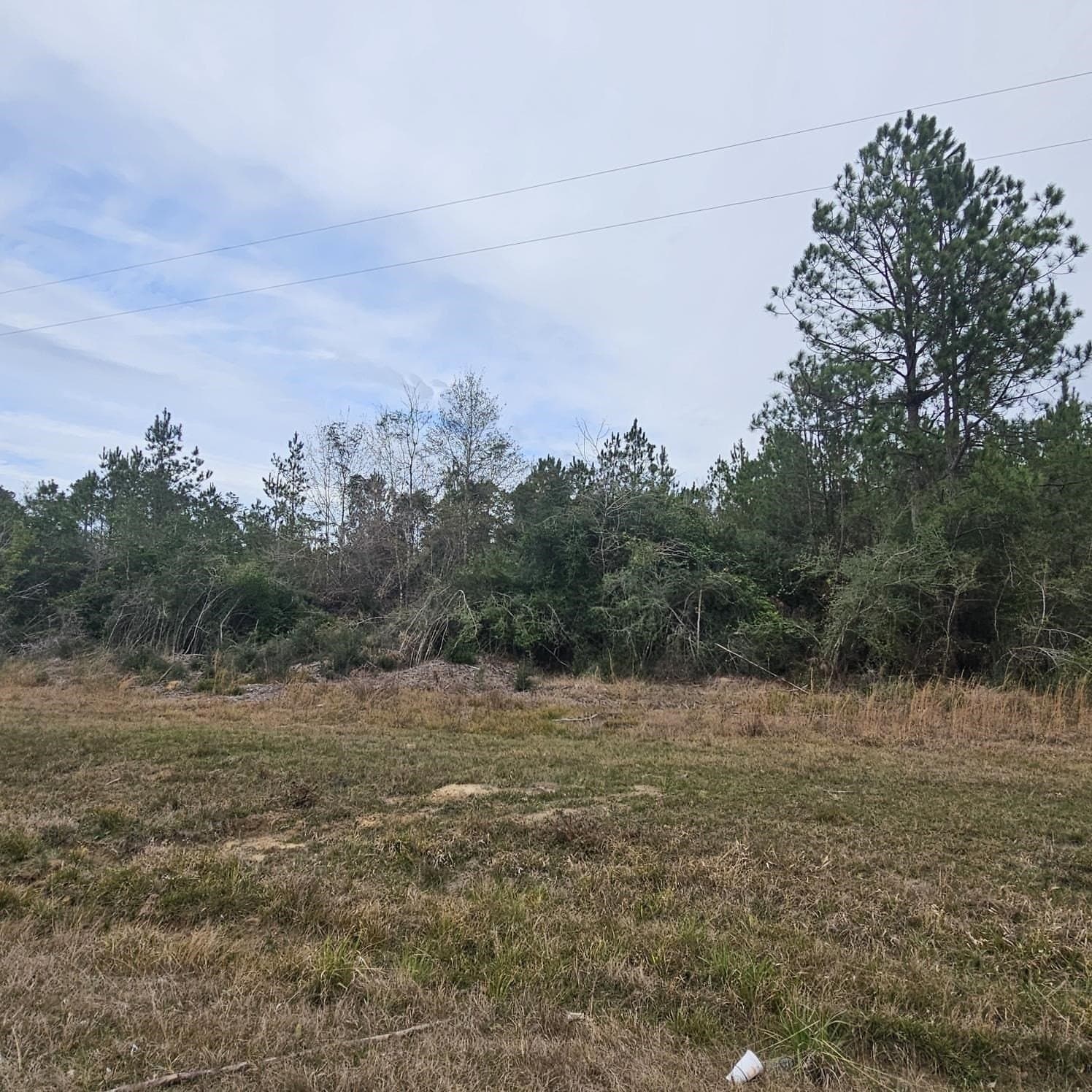 6 acres in Texas County