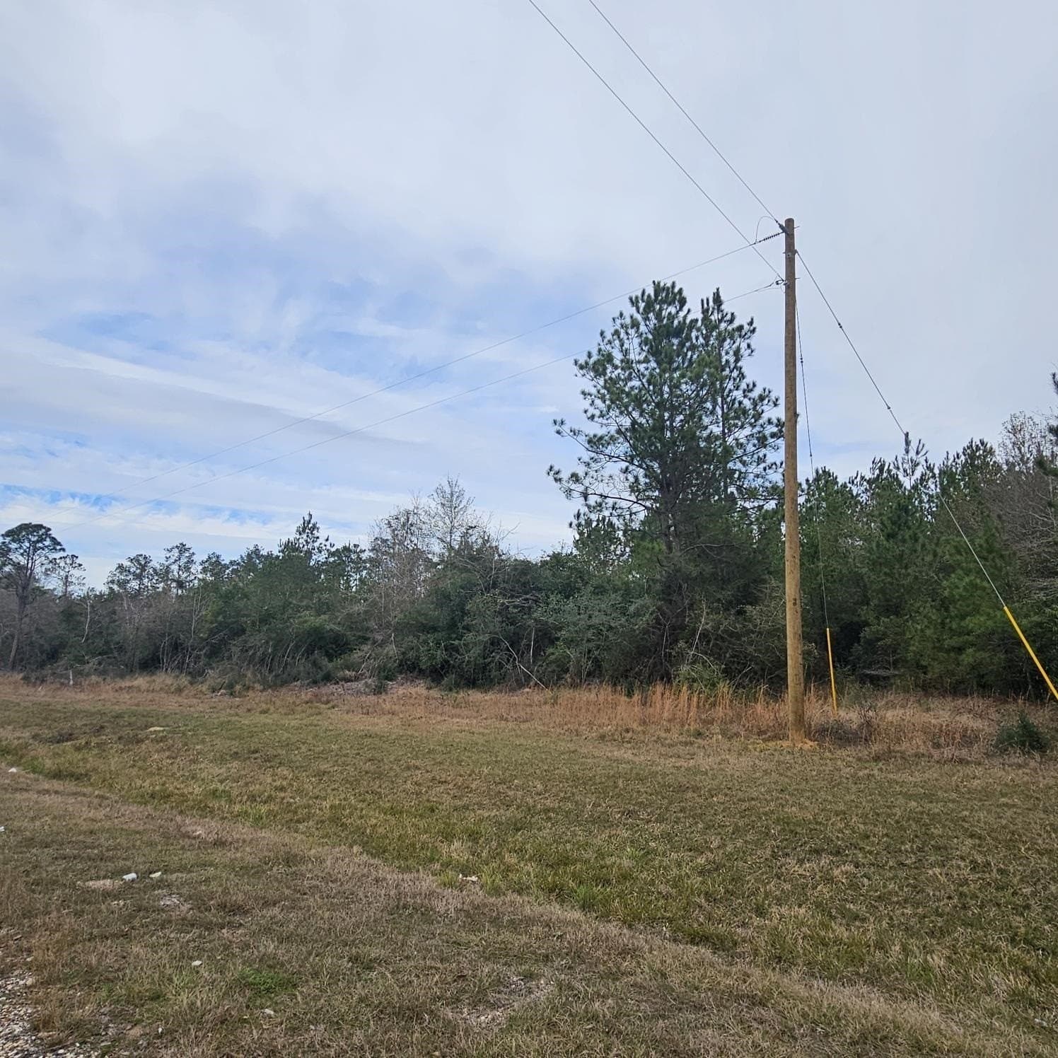 6 acres in Texas County featured view