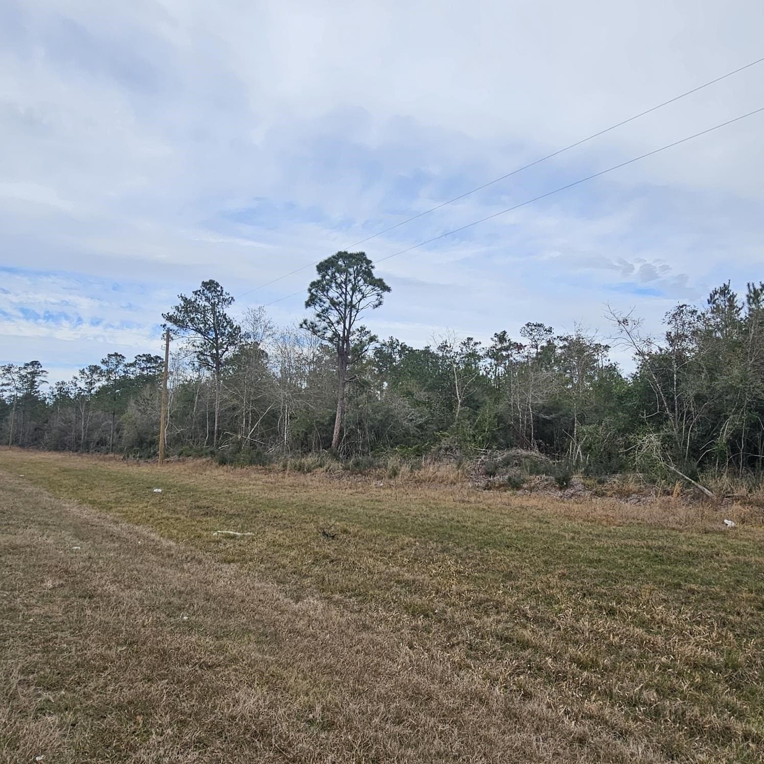 6 acres in Texas County gallery image 2