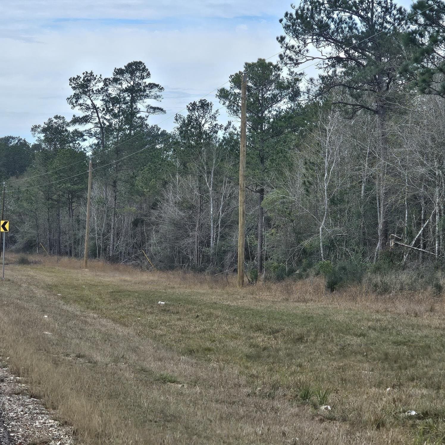 6 acres in Texas County gallery image 4