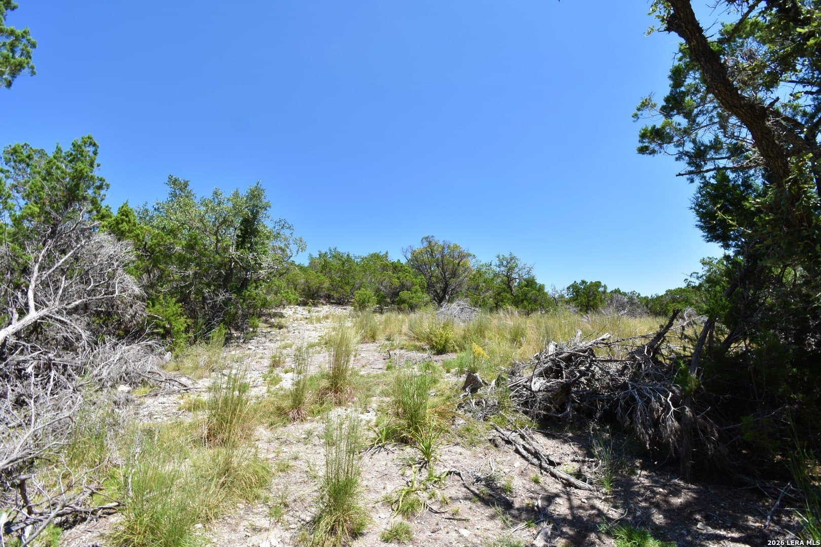 1.07 acres in Bastrop County gallery image 2