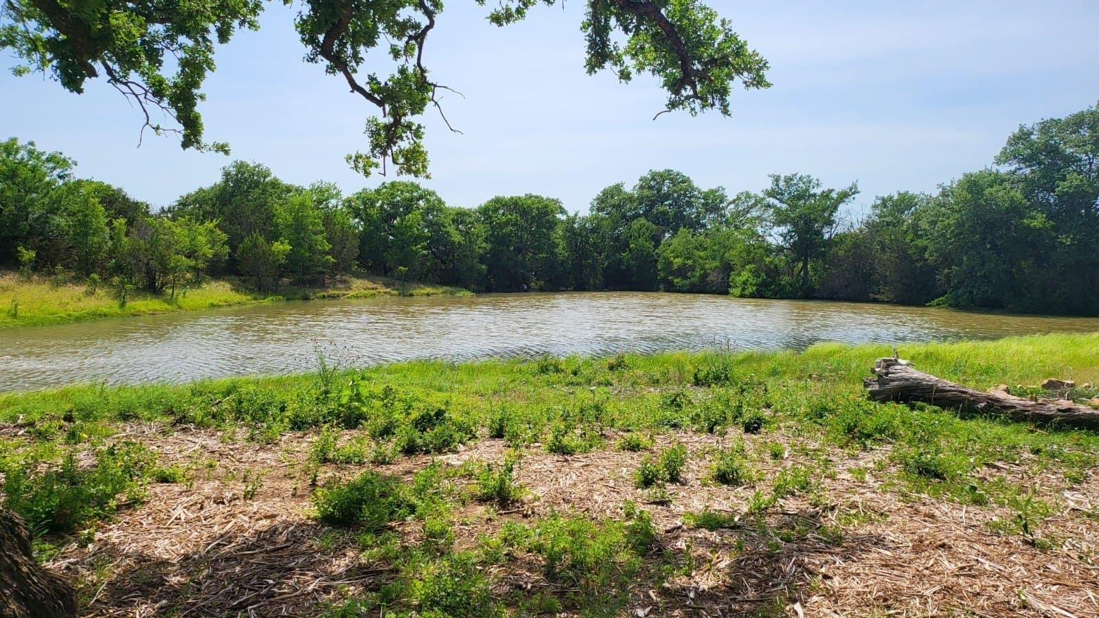 5.03 acres in Palo Pinto County - photo 6