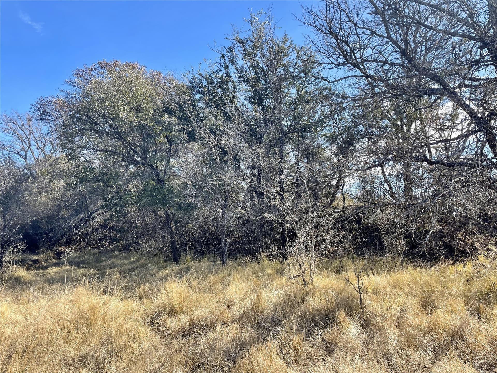 5.03 acres in Palo Pinto County - photo 9