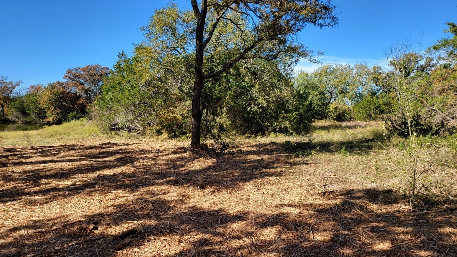 5.03 acres in Palo Pinto County - photo 25