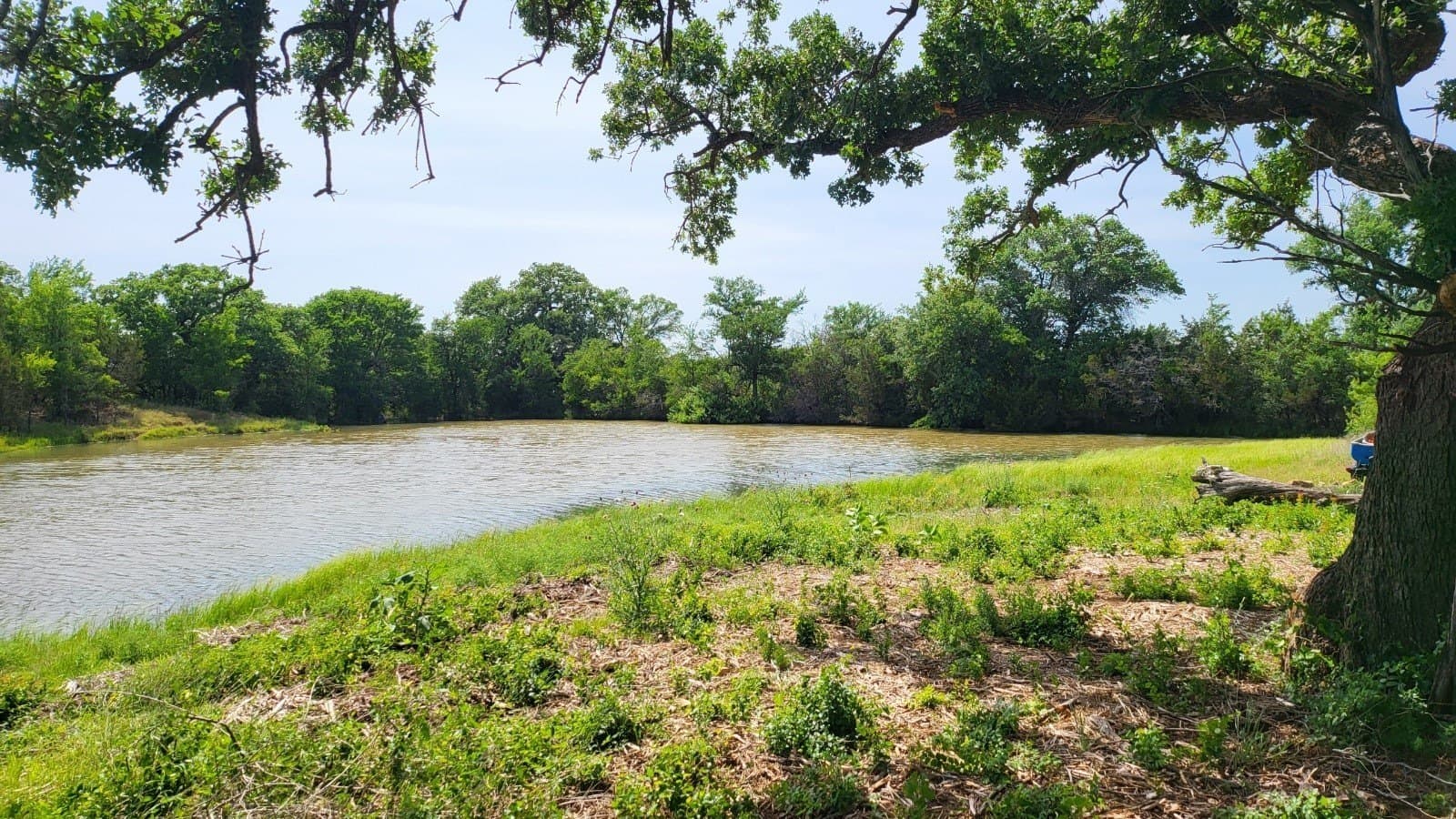 5.03 acres in Palo Pinto County - photo 2
