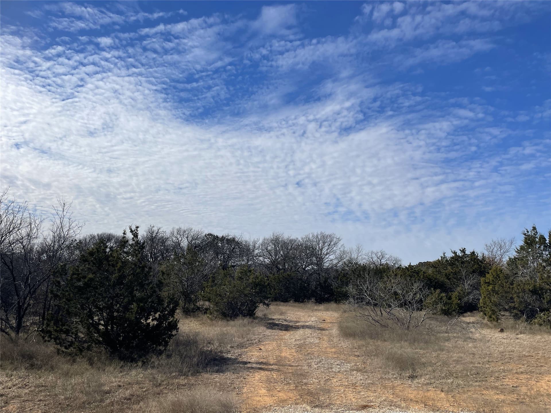 5.03 acres in Palo Pinto County - photo 18