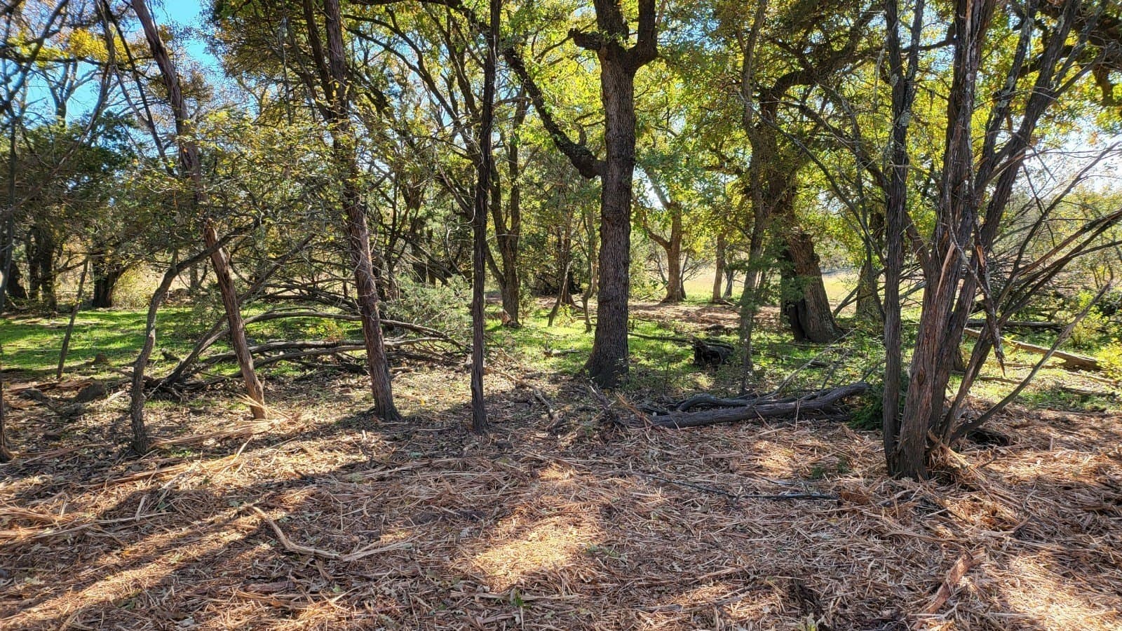 5.03 acres in Palo Pinto County - photo 15