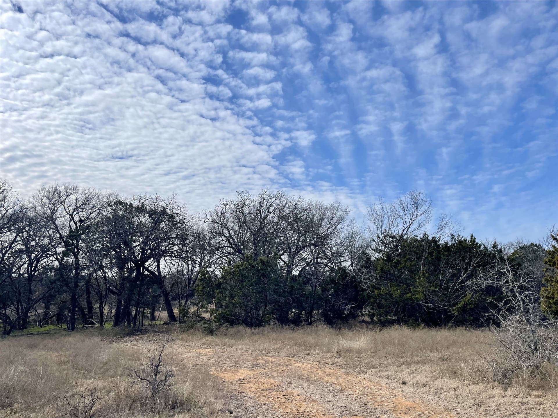 5.03 acres in Palo Pinto County - photo 16